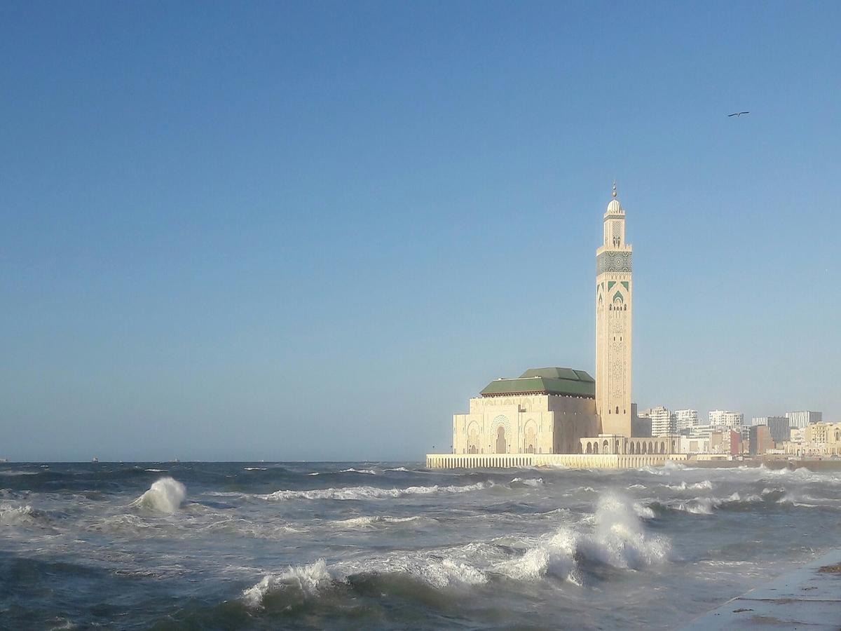 Horizon * Casablanca